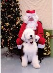 Chewie with Santa 2006.JPG