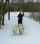 SAMS sledding1.jpg