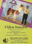 chileantoreador.jpg