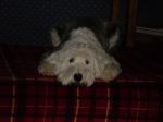Cabin 2007 054.JPG