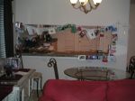 PICT0037.JPG