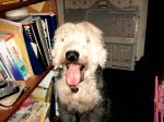 PICT0006.JPG