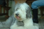 DSC_0054.JPG