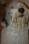 dsc_1591.jpg