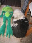 ted lucy and the frog001.JPG