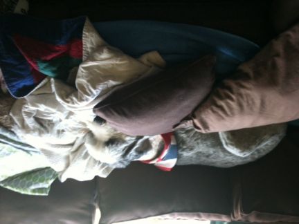 Click to view full size image