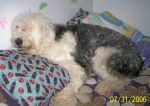 100_0583.jpg
