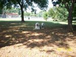 100_0866.jpg
