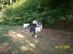 100_0870.jpg