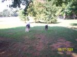 100_0873.jpg