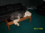 100_0874.jpg
