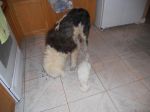DSCN0438.JPG
