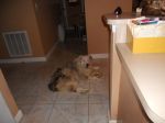 DSCN0439.JPG