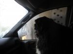 DSCN0440.JPG