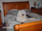 PICT0099.JPG