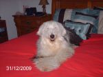 PICT0355.JPG