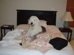 DSC03220.jpg