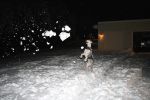 Filename : IMG_1099.JPG
Filesize : 334KB
Dimensions : 1200x800
Date added : Jan 28, 2008 IMG_1099.JPG