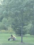 IMG_4045 copy.JPG
