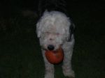 DSCN0147.JPG