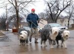 matt and dogs in the rain.jpg