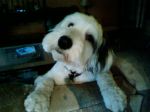 Phone pics 114.jpg