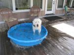 20130707_12.JPG