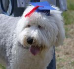 camp2011 088.JPG