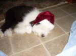 DSCN0262.JPG