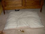 DSCN0642.JPG