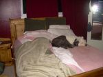 DSCN0647.JPG