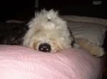 DSCN0648.JPG
