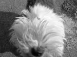 DSCN0685.JPG