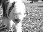 DSCN0690.JPG
