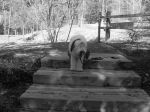 DSCN0747.JPG