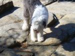 DSCN0749.JPG