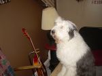 DSCN0770.JPG