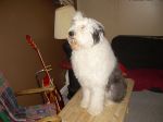 DSCN0771.JPG