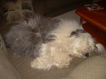 DSCN0880.JPG