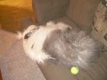 DSCN0881.JPG