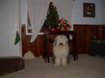 DSCN0977.JPG