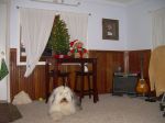 DSCN0978.JPG