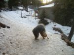 DSCN1308.JPG