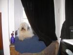 DSCN1311.JPG