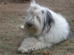 DSCN1362.JPG