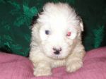 small_male_8_29_06_003.jpg
