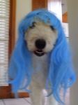 duffy blue~0.jpg