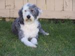 murphy 009.jpg