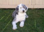 murphy 017.jpg