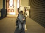 DSCN0623.jpg